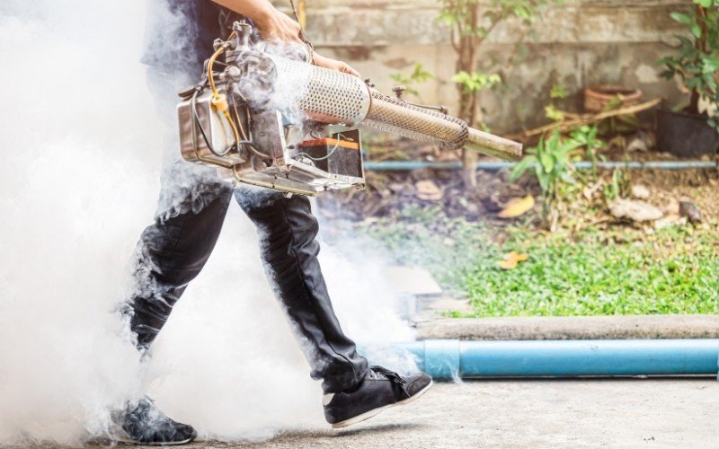 Barrie’s Most Common Household Pests & How to Protect Your Home 3 Fall: Rodents & Spiders in Barrie