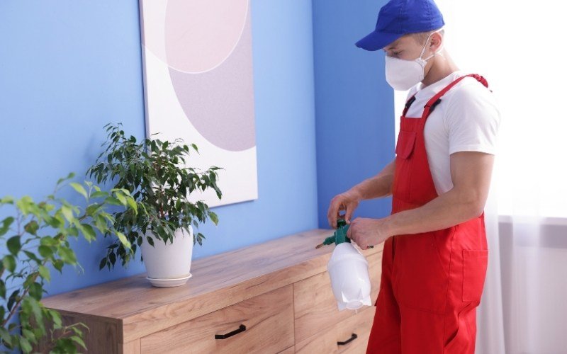 Why You Need Professional Help