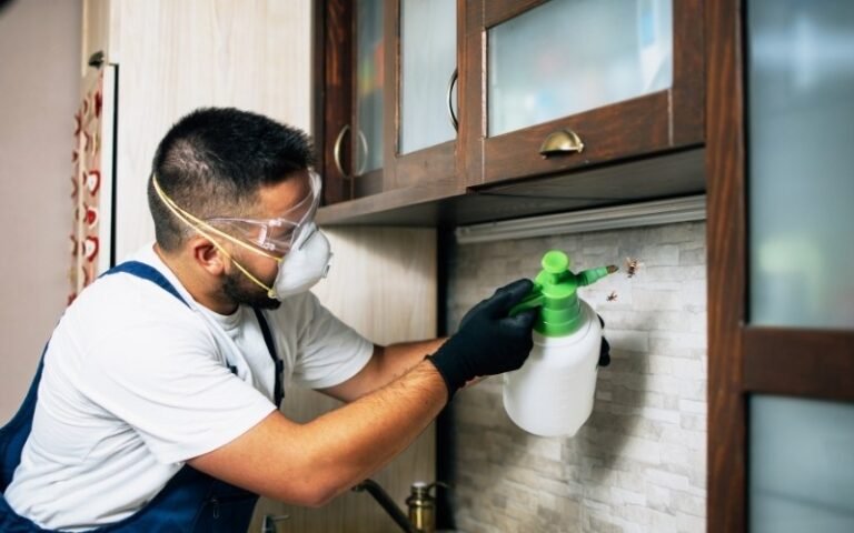 How to Get Rid of Ground Wasps