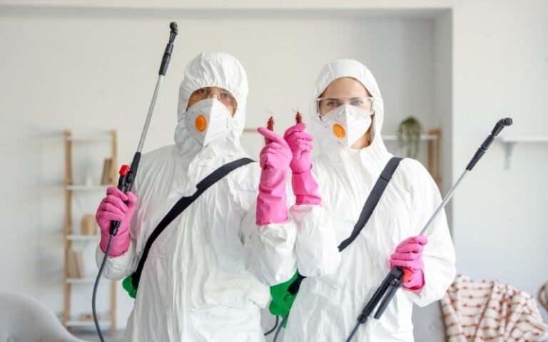 Top 10 Pest Control Companies in Toronto